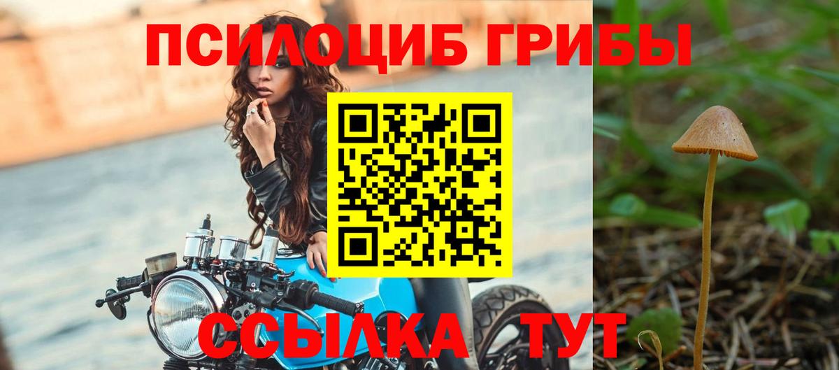 Галлюциногенные грибы Cubensis Белая Калитва