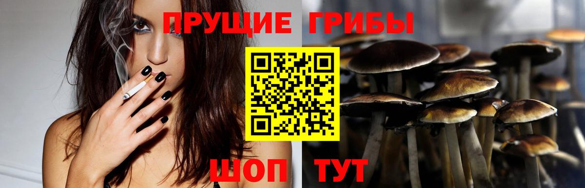 Галлюциногенные грибы GOLDEN TEACHER  Галлюциногенные грибы Magic Shrooms  Белая Калитва  Вход с VPN 